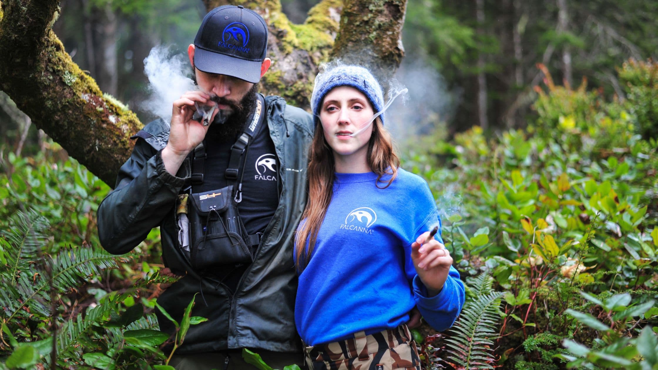 Falcanna blog: From Medical Marijuana to Falcanna: A Washington State Legacy Story, cannabis cultivation, Olympic Peninsula Washington
