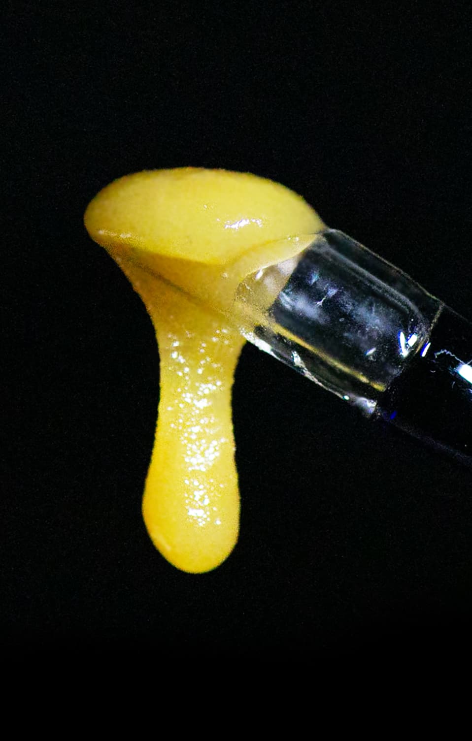 Falcanna cannabis concentrate, sugar wax consistency, made from fresh frozen Olympic Peninsula flower