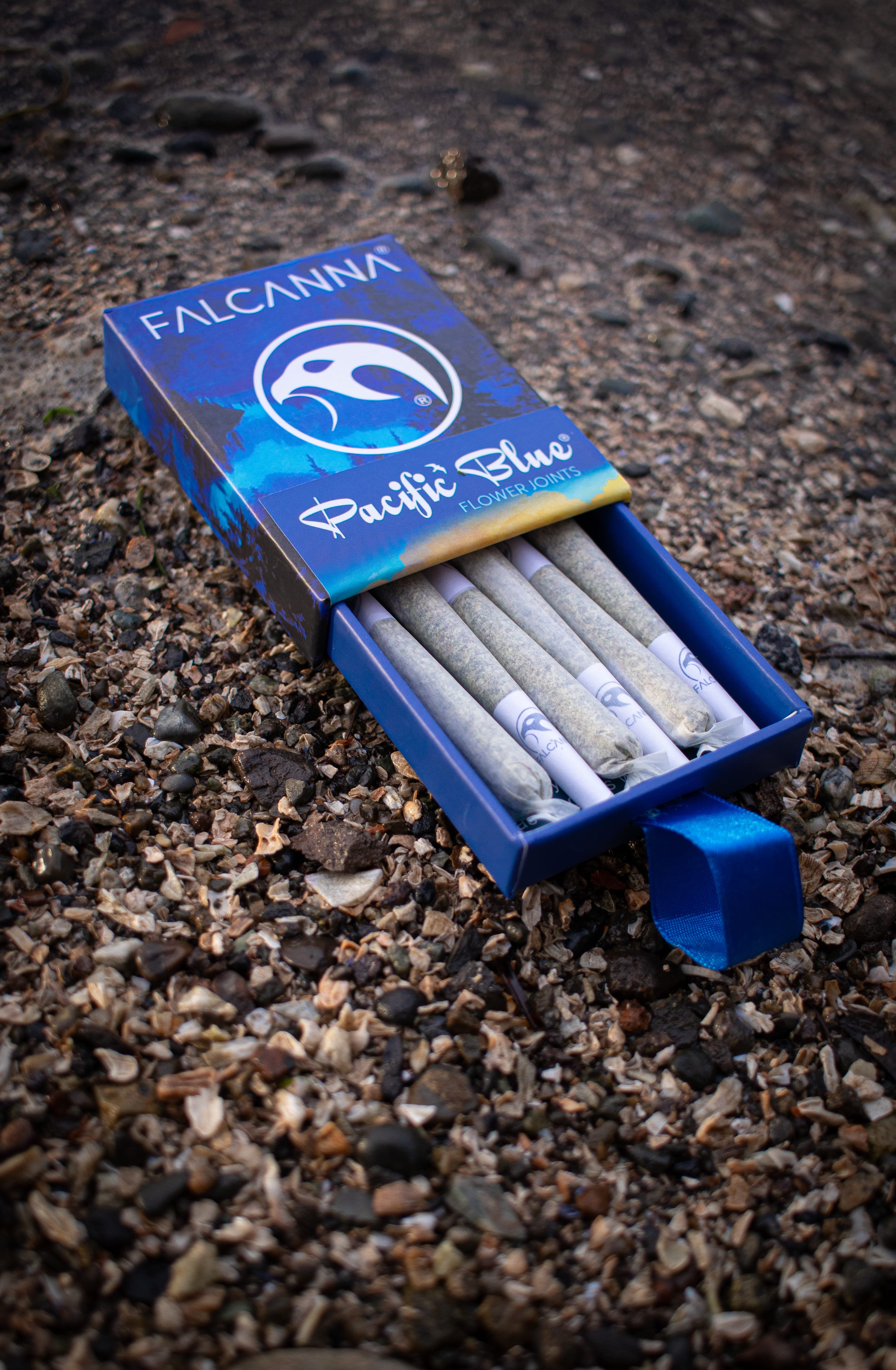 Falcanna Pacific Blue cannabis strain, Pre 98 Bubba Kush x DJ Short Blueberry, Olympic Peninsula grown