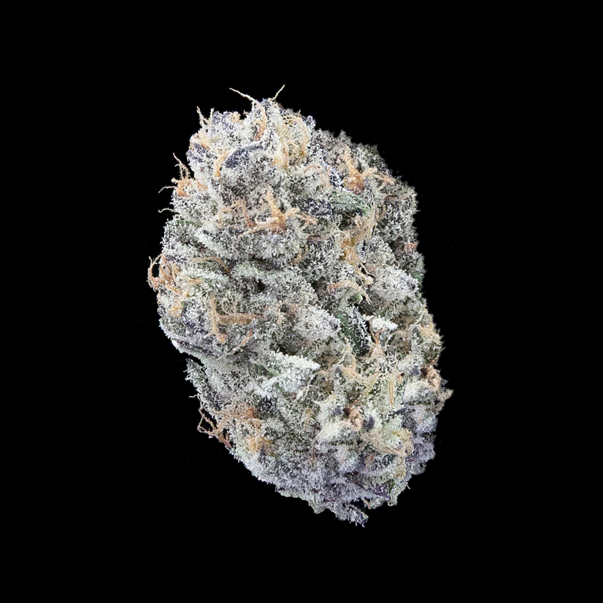 Candy Queen cannabis strain by Falcanna, sativa, grown on the Olympic Peninsula, Washington State